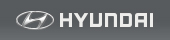 Hyundai Express | официальный сервисный центр